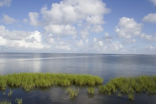 Laguna Madre
